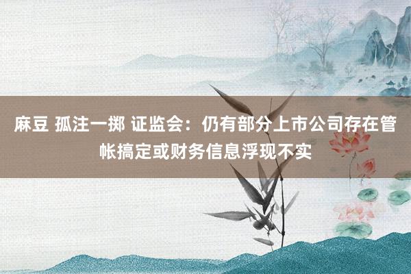 麻豆 孤注一掷 证监会：仍有部分上市公司存在管帐搞定或财务信息浮现不实