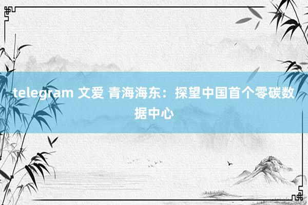 telegram 文爱 青海海东：探望中国首个零碳数据中心