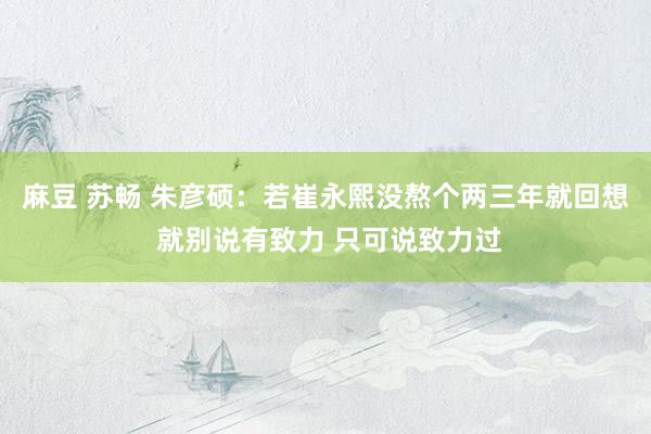 麻豆 苏畅 朱彦硕：若崔永熙没熬个两三年就回想 就别说有致力 只可说致力过