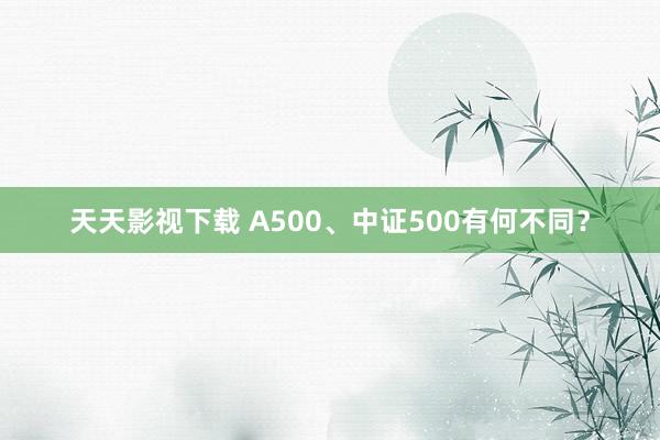 天天影视下载 A500、中证500有何不同？