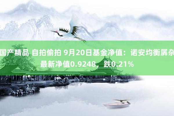 国产精品 自拍偷拍 9月20日基金净值：诺安均衡羼杂最新净值0.9248，跌0.21%