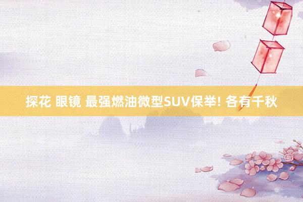 探花 眼镜 最强燃油微型SUV保举! 各有千秋