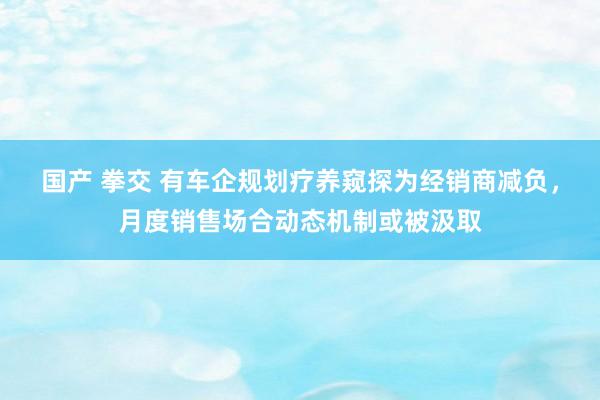 国产 拳交 有车企规划疗养窥探为经销商减负，月度销售场合动态机制或被汲取