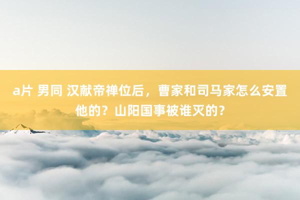 a片 男同 汉献帝禅位后，曹家和司马家怎么安置他的？山阳国事被谁灭的？