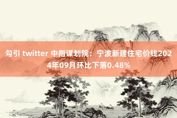 勾引 twitter 中指谋划院：宁波新建住宅价钱2024年09月环比下落0.48%