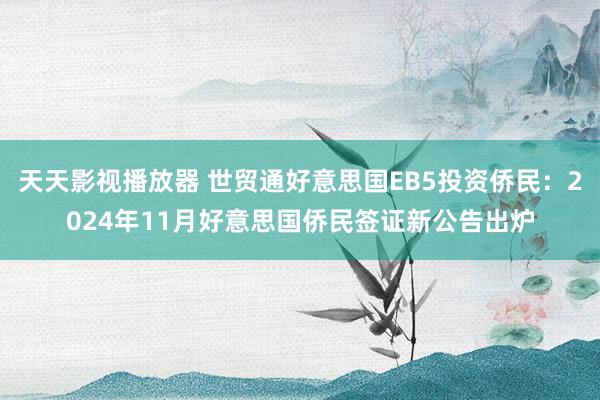 天天影视播放器 世贸通好意思国EB5投资侨民：2024年11月好意思国侨民签证新公告出炉