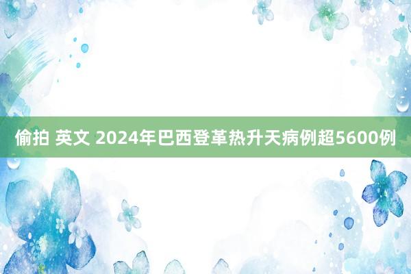 偷拍 英文 2024年巴西登革热升天病例超5600例