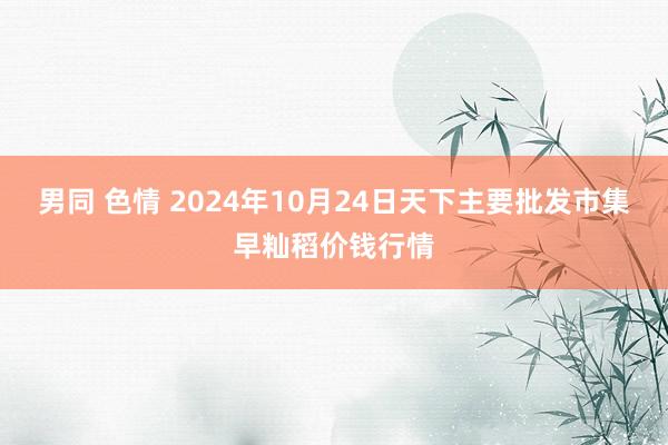 男同 色情 2024年10月24日天下主要批发市集早籼稻价钱行情