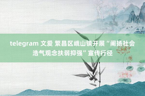 telegram 文爱 繁昌区峨山镇开展“阐扬社会浩气观念扶弱抑强”宣传行径