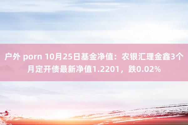 户外 porn 10月25日基金净值：农银汇理金鑫3个月定开债最新净值1.2201，跌0.02%