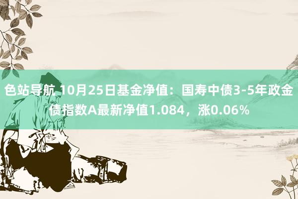 色站导航 10月25日基金净值：国寿中债3-5年政金债指数A最新净值1.084，涨0.06%