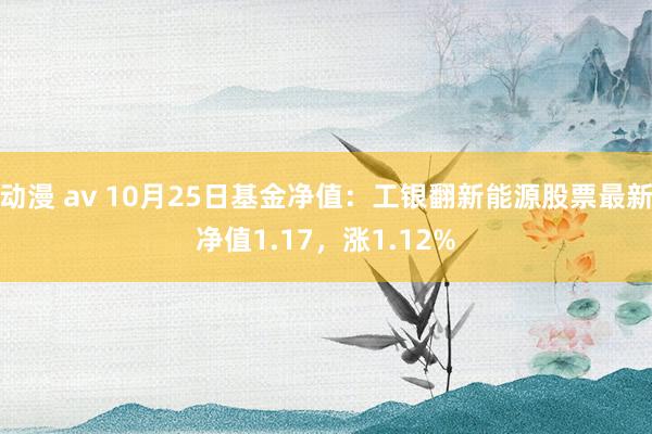 动漫 av 10月25日基金净值：工银翻新能源股票最新净值1.17，涨1.12%