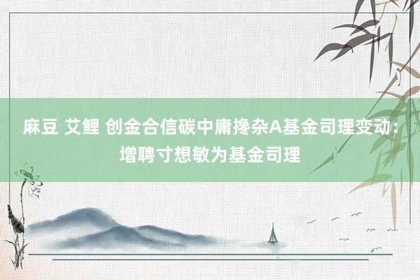 麻豆 艾鲤 创金合信碳中庸搀杂A基金司理变动：增聘寸想敏为基金司理