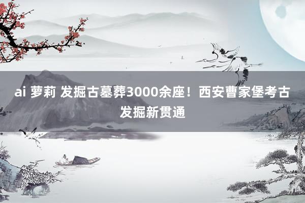 ai 萝莉 发掘古墓葬3000余座！西安曹家堡考古发掘新贯通