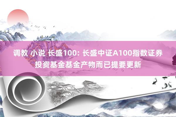 调教 小说 长盛100: 长盛中证A100指数证券投资基金基金产物而已提要更新