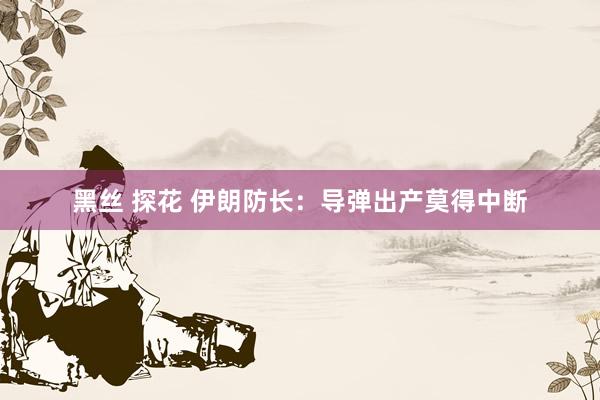 黑丝 探花 伊朗防长：导弹出产莫得中断