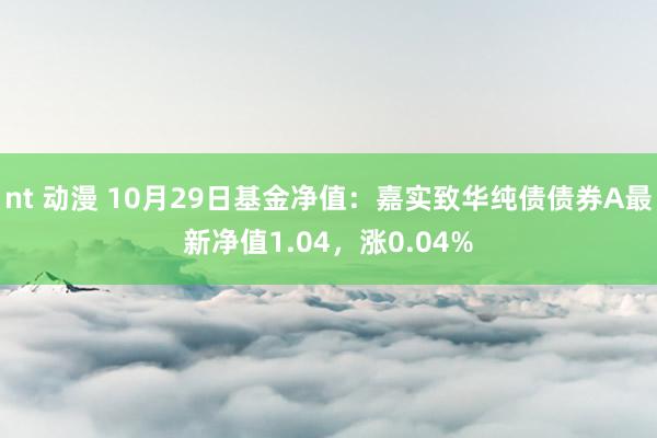 nt 动漫 10月29日基金净值：嘉实致华纯债债券A最新净值1.04，涨0.04%