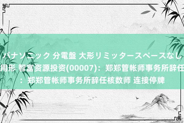 パナソニック 分電盤 大形リミッタースペースなし 露出・半埋込両用形 智富资源投资(00007)：郑郑管帐师事务所辞任核数师 连接停牌