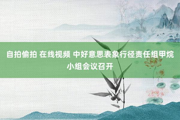 自拍偷拍 在线视频 中好意思表象行径责任组甲烷小组会议召开