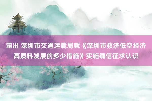 露出 深圳市交通运载局就《深圳市救济低空经济高质料发展的多少措施》实施确信征求认识