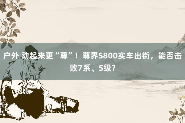 户外 动起来更“尊”！尊界S800实车出街，能否击败7系、S级？