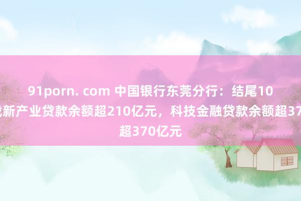 91porn. com 中国银行东莞分行：结尾10月末战新产业贷款余额超210亿元，科技金融贷款余额超370亿元