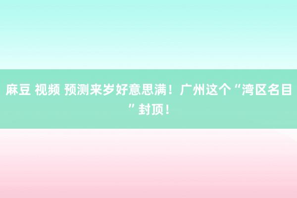 麻豆 视频 预测来岁好意思满！广州这个“湾区名目”封顶！