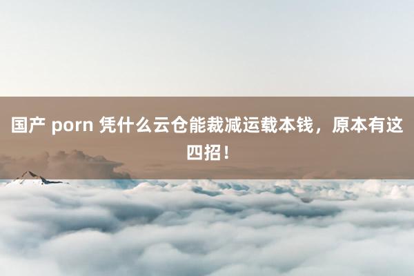 国产 porn 凭什么云仓能裁减运载本钱，原本有这四招！