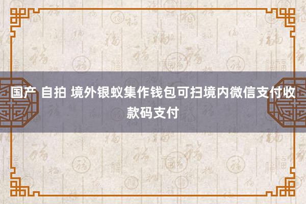 国产 自拍 境外银蚁集作钱包可扫境内微信支付收款码支付