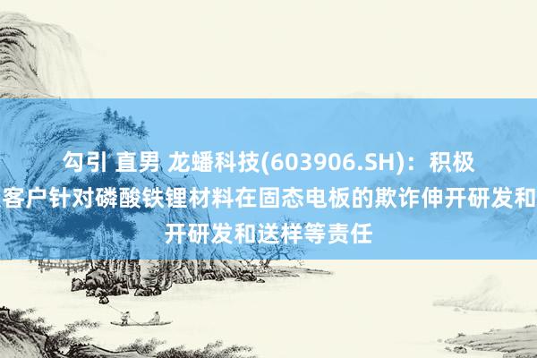 勾引 直男 龙蟠科技(603906.SH)：积极与卑劣电板客户针对磷酸铁锂材料在固态电板的欺诈伸开研发和送样等责任