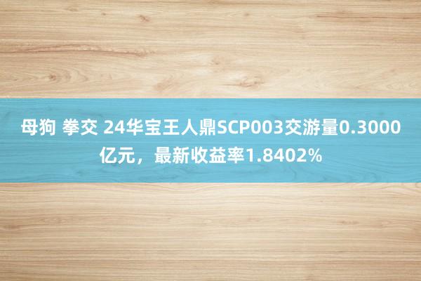 母狗 拳交 24华宝王人鼎SCP003交游量0.3000亿元，最新收益率1.8402%