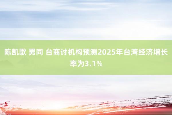 陈凯歌 男同 台商讨机构预测2025年台湾经济增长率为3.1%