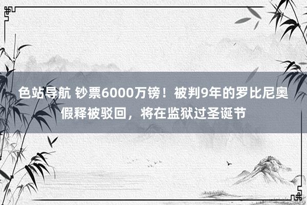 色站导航 钞票6000万镑！被判9年的罗比尼奥假释被驳回，将