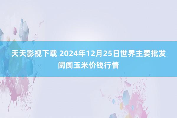 天天影视下载 2024年12月25日世界主要批发阛阓玉米价钱