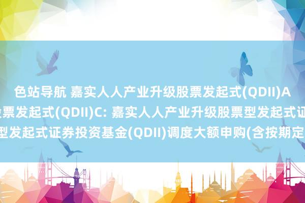 色站导航 嘉实人人产业升级股票发起式(QDII)A,嘉实人人