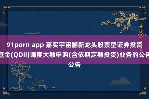 91porn app 嘉实宇宙翻新龙头股票型证券投资基金(Q