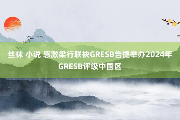 丝袜 小说 感激梁行联袂GRESB告捷举办2024年GRES