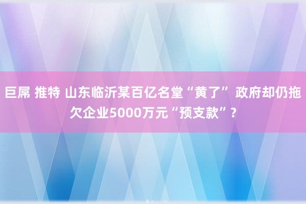 巨屌 推特 山东临沂某百亿名堂“黄了” 政府却仍拖欠企业50