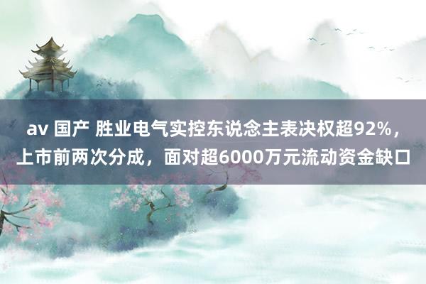 av 国产 胜业电气实控东说念主表决权超92%，上市前两次分