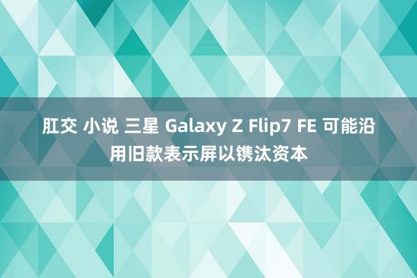 肛交 小说 三星 Galaxy Z Flip7 FE 可能沿