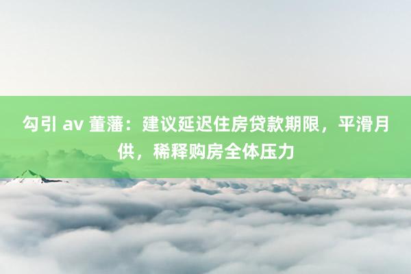 勾引 av 董藩：建议延迟住房贷款期限，平滑月供，稀释购房全