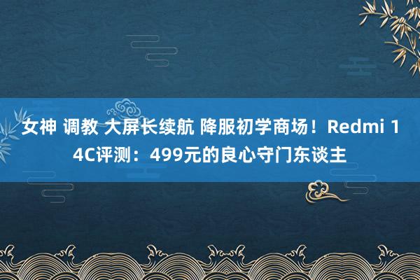 女神 调教 大屏长续航 降服初学商场！Redmi 14C评测