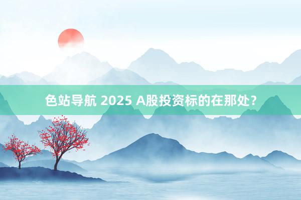 色站导航 2025 A股投资标的在那处？