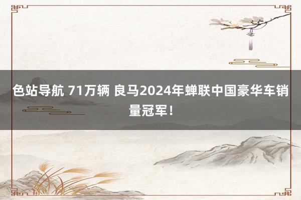 色站导航 71万辆 良马2024年蝉联中国豪华车销量冠军！